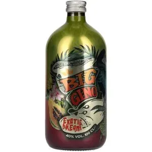 Big Gino Gin EXOTIC DREAM 40% Vol. 1l