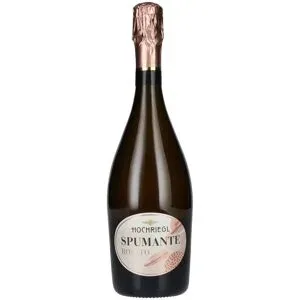 Hochriegl Sektkellerei Hochriegl Spumante Rosato 11% Vol. 0,75l