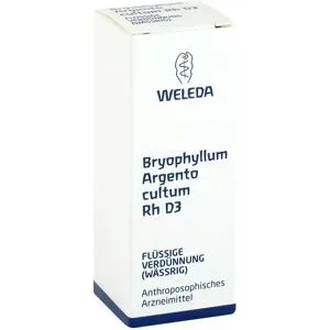 Weleda Bryophyllum Argento Cultum Rh D3 Dilution