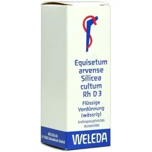 Equisetum Arvense Silicea cultum Rh Dilution