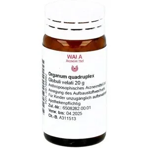 Wala Organum Quadruplex Globuli