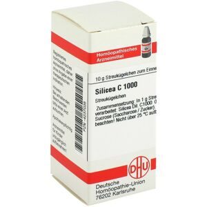 DHU Silicea C1000 Globuli