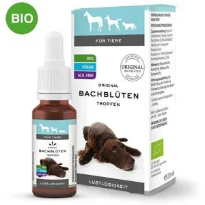 Bachblüten Tiere Tropfen Lustlosigkeit