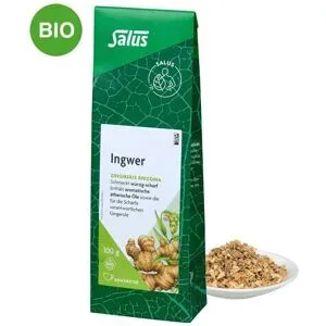 Ingwer Gewürztee Zingiber officinale bio Salus