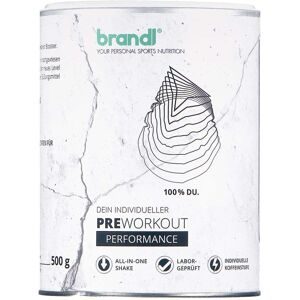 Preworkout Performance Orange Stufe 2 Pulver