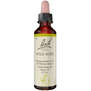 Bachblüten Wild Rose Tropfen
