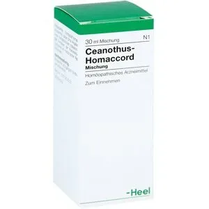Ceanothus-homaccord Liquidum