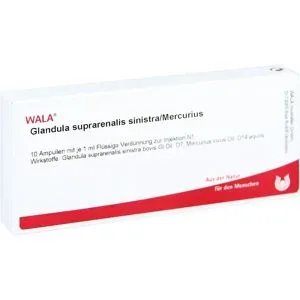 Wala Glandula Supraren. Sinistra/ Mercurius Ampullen