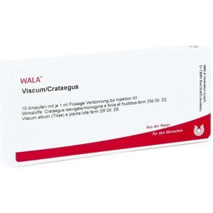 Wala Viscum Crataegus Ampullen
