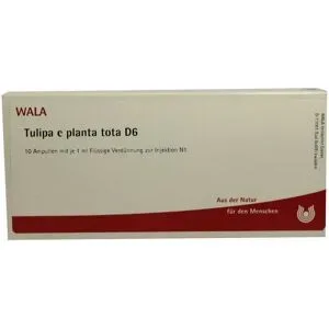 Tulipa e planta tota D6 Ampullen