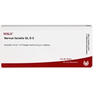 Nervus Facialis Gl D5 Ampullen