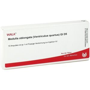 Medulla Oblongata Ven.qu.gl D5 Ampullen