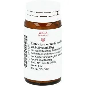 Wala Cichorium E Planta Tota 5% Globuli