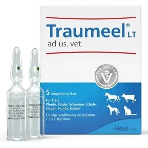 Traumeel Lt Ampullen veterinär