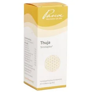 Thuja Similiaplex Mischung