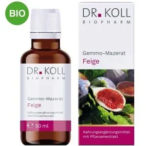 Gemmo Mazerat Feige Doktor koll Ficus Carica Tropfen
