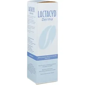 Lactacyd Derma Waschsyndet