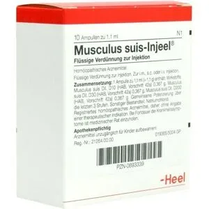Musculus suis Injeel Ampullen