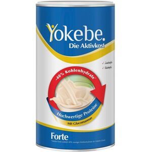 Yokebe forte Aktivkost Pulver