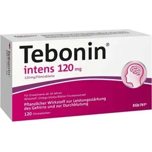 Tebonin intens 120mg