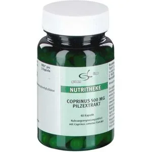 Coprinus 500mg Pilzextrakt