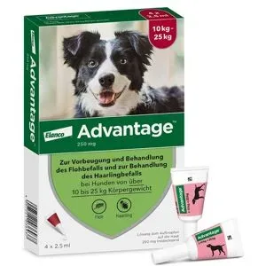 Advantage Spot-On für Hunde von 10 bis 25 kg Körpergewicht