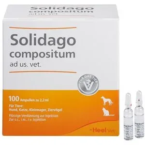 Solidago Compositum Ampullen ad usus veterinär