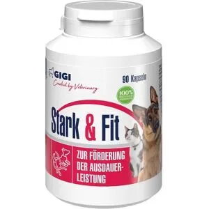 GIGI VET Stark & Fit für Hunde und Katzen N90