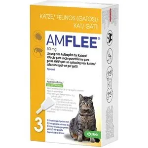 Amflee 50 mg Lösung zum Auftropfen für Katzen