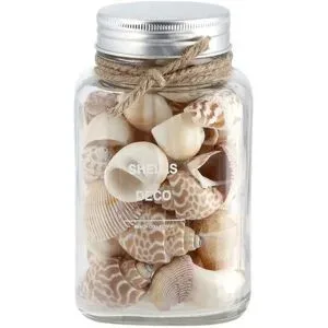 HOME STORY Muschelmix im Glas   ¦ beige ¦ Naturfaser,Glas ¦ Maße (cm): B: 9 H: