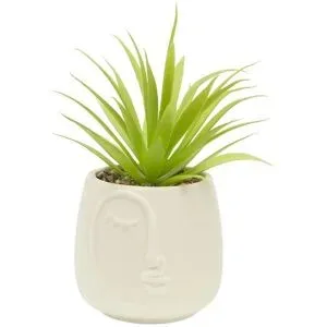 Höffner Sukkulente im Keramiktopf   ¦ creme ¦ Dolomite,Kunststoff,Stein ¦ Maße (cm): H: