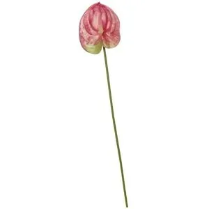 Höffner Kunstblume Anthurium   ¦ rosa/pink ¦ Kunststoff ¦ Maße (cm): H: 67  Ø: 14
