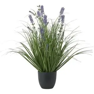 Höffner Lavendel getopft   ¦ lila/violett ¦ Kunststoff ¦ Maße (cm): H: 56  Ø: 35