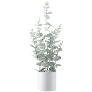 Höffner Eukalyptus getopft   ¦ grün ¦ Kunststoff ¦ Maße (cm): H: 52