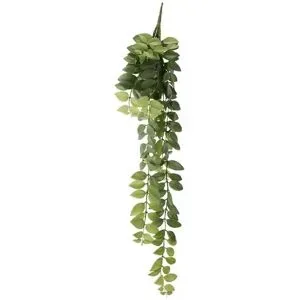 Höffner Columnea Ranke   ¦ grün ¦ Kunststoff ¦ Maße (cm): H: 85