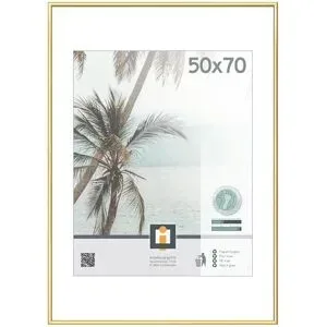 Höffner Kunststoffrahmen  Kyoto ¦ gold ¦ Kunststoff ¦ Maße (cm): B: 51 H: 71 T: 1.8