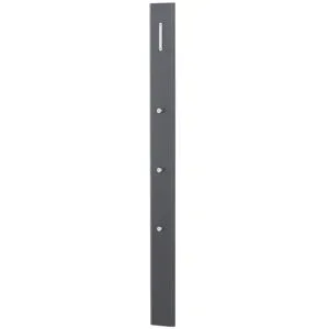 Wohnwert Garderobenpaneel  Azzura ¦ grau ¦ MDF-Platte ¦ Maße (cm): B: 14 H: 165