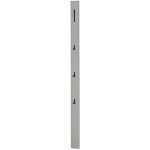 Wohnwert Garderobenpaneel  Leo ¦ grau ¦ MDF-Platte ¦ Maße (cm): B: 10 H: 165 T: