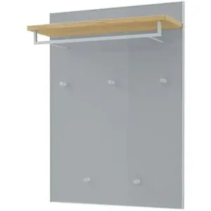 Höffner Garderobenpaneel  Xena ¦ grau ¦ Holzwerkstoff,Glas ¦ Maße (cm): B: 80 H: 109 T: