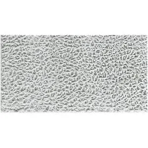 Jette Home Webteppich  Aurix ¦ grau ¦ Synthetische Fasern ¦ Maße (cm): B: 80