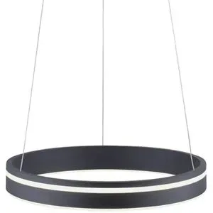 Q-Smart Home Lights Pendelleuchte  1-flammig  anthrazit   ¦ schwarz ¦ Maße (cm):