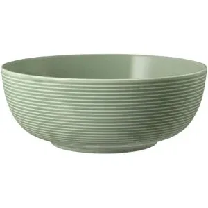 Seltmann Weiden Foodbowl  Beat ¦ grün ¦ Porzellan Ø: 20