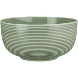 Seltmann Weiden Foodbowl  Beat ¦ grün ¦ Porzellan ¦ Maße (cm): H: 8,8  Ø: 18