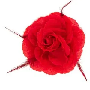 Klammer Rose