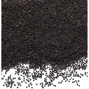 Bio-Rapssamen, 1 kg
