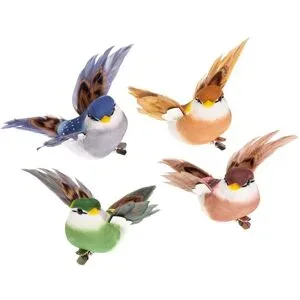 Federvögel 