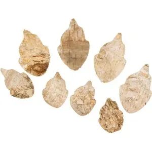 Flügel aus Birkenrinde, 8 Paar