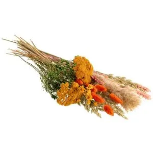 Trockenblumen-Sortiment 