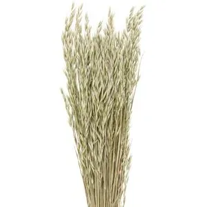 Haferbund, grün, 150 g