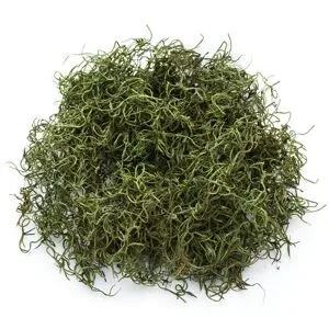 Dschungelgras, grün, 50 g